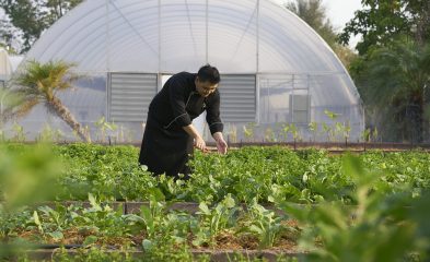 Chiva-Som-Organic-Garden-with-Chef-Paisarn-1-393x240