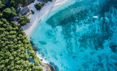 2016-NorthIsland-02-393x240