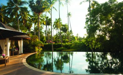 NAP-POOL-22-393x240