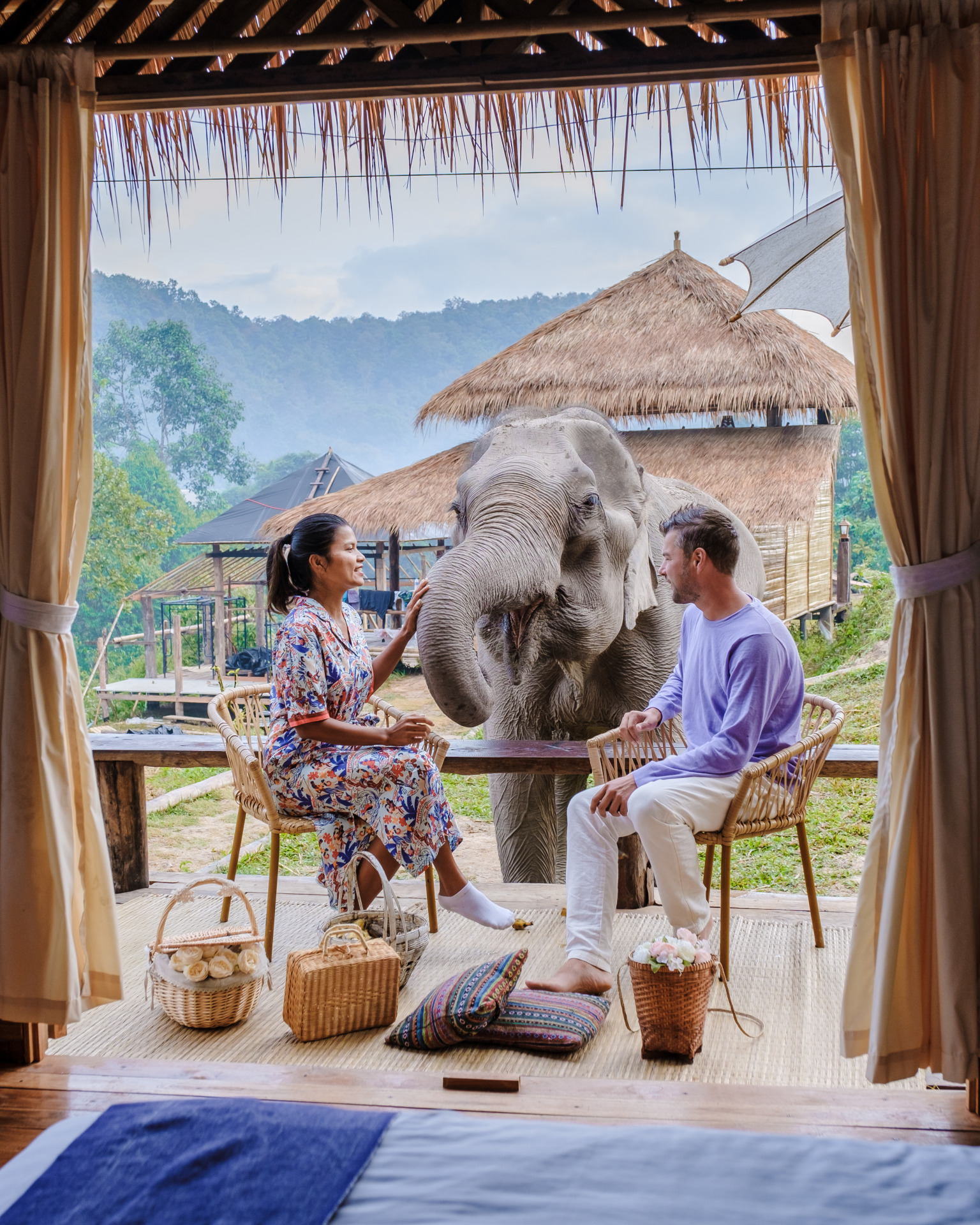 couple-visiting-a-elephant-sanctuary-in-chiang-mai-2025-01-08-22-35-31-utc